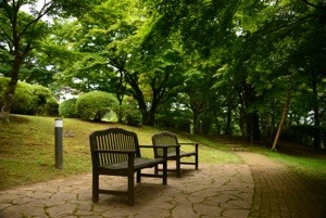20120829-214644.jpg