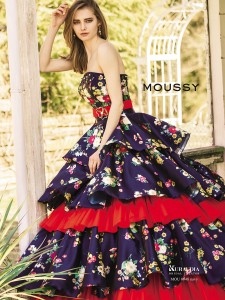 MOU0048_navy_image