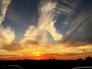 IMG_1912